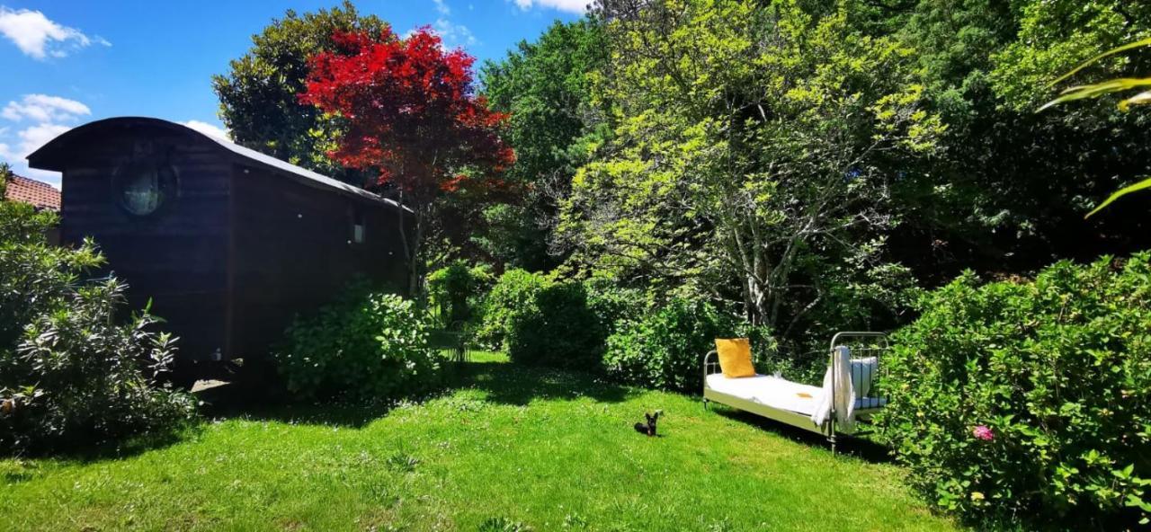 Bed and Breakfast Les Jardins De Mimizan Exterior foto